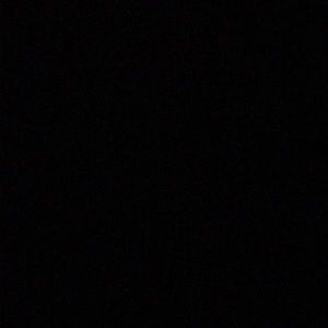 Meet your Posher, Kendyl